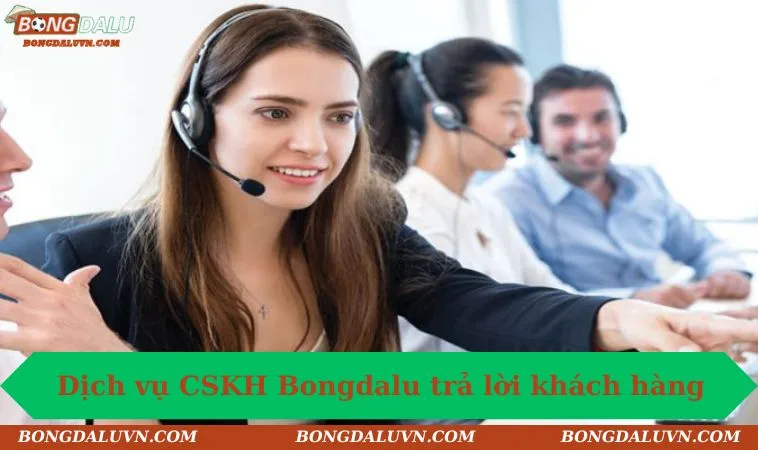 Dịch vụ CSKH Bongdalu trả lời khách hàng nhanh chóng