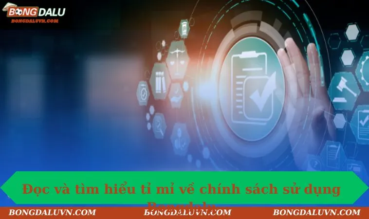 Đọc và tìm hiểu tỉ mỉ về chính sách sử dụng Bongdalu