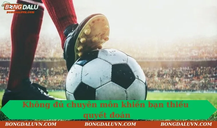 Không đủ chuyên môn khiến bạn thiếu quyết đoán