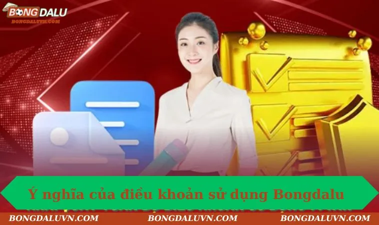 Ý nghĩa của điều khoản sử dụng Bongdalu