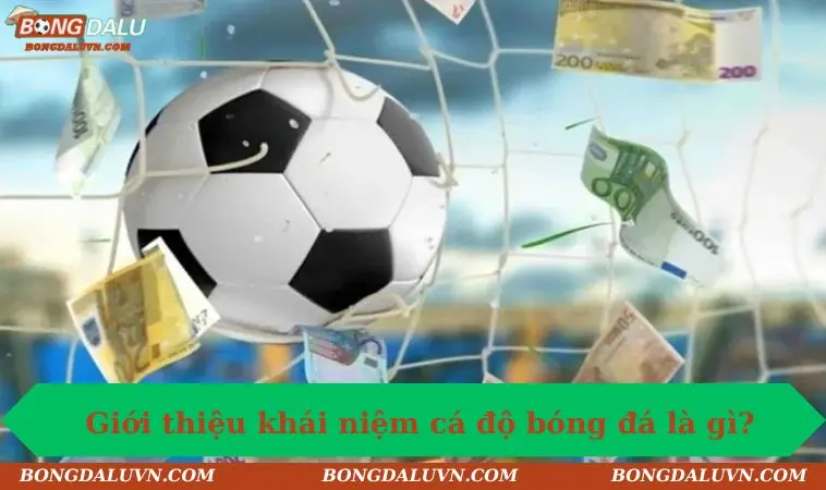 Giới thiệu khái niệm cá độ bóng đá là gì?