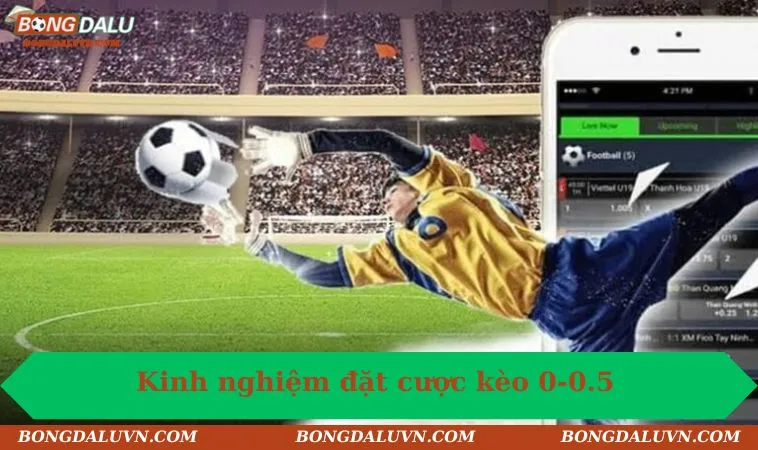 Kinh nghiệm đặt cược kèo 0-0.5