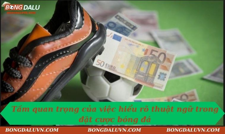 Tầm quan trọng của việc hiểu rõ thuật ngữ trong đặt cược bóng đá