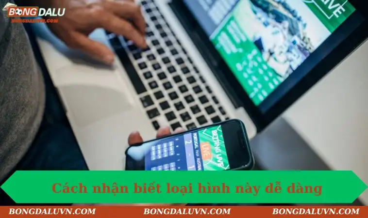 Cách nhận biết loại hình này dễ dàng