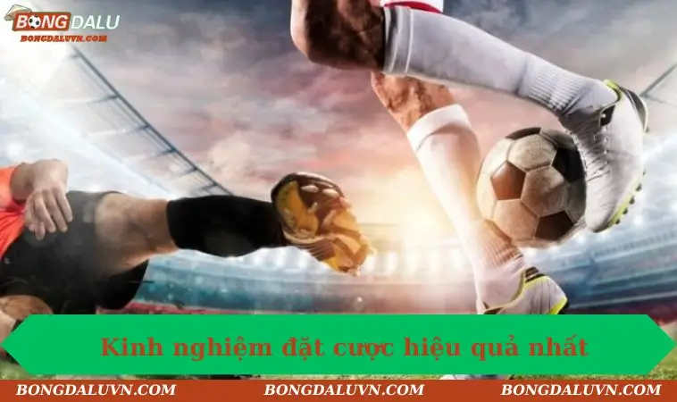 Kinh nghiệm đặt hiệu quả nhất